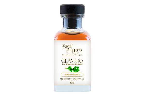 extracto botanico de cilantro