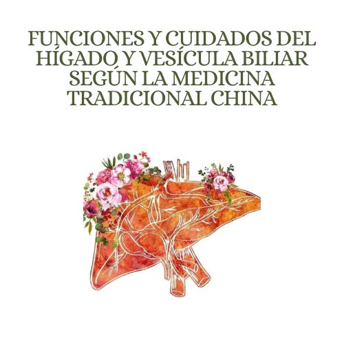 Funciones y Cuidados del Hígado y Vesícula Biliar según la Medicina Tradicional China