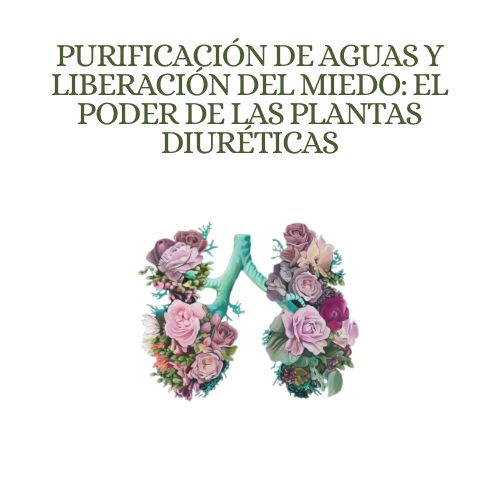 Purificación de Aguas y Liberación del Miedo: El Poder de las Plantas Diuréticas