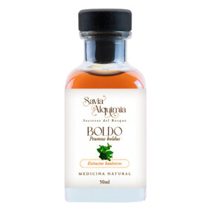 Tintura de Boldo - Peumus boldus