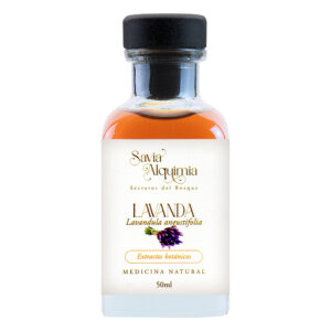 Tintura de Lavanda - Lavandula angustifolia