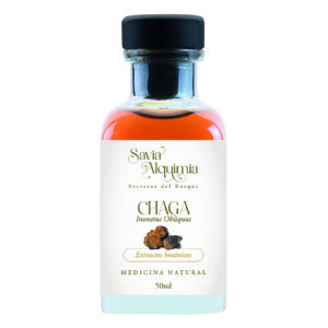 Tintura de Chaga - Inonotus obliquus