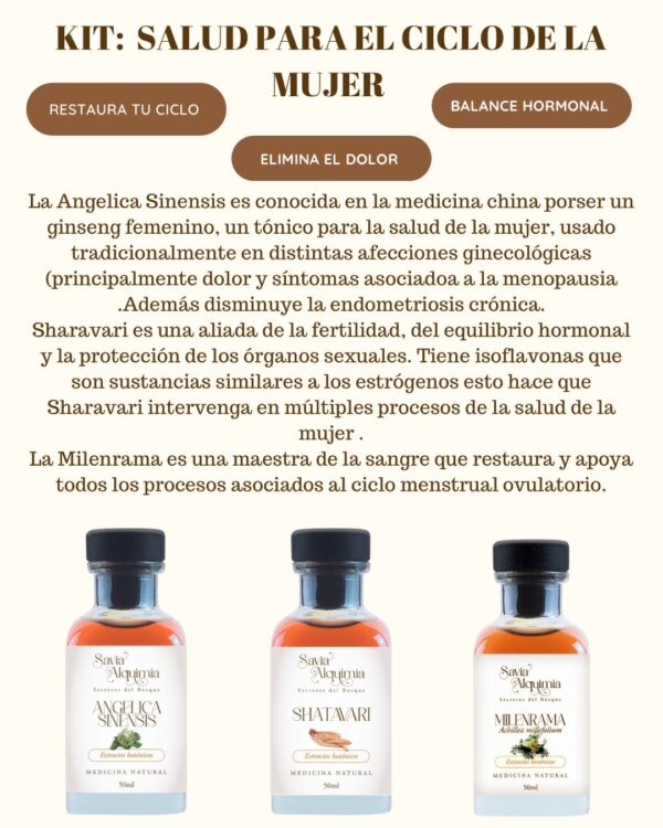 pack de remedios naturales para la menstruación, envíos a todo Chile