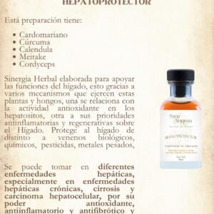 producto natural para el hígado: una mezcla de hierbas y hongos que protege y apoya la salud hepática de forma natural