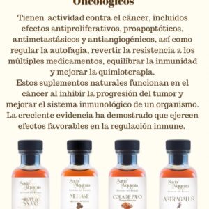 Imagen del Tratamiento Coadyuvante para Pacientes Oncológicos: Suplementos Naturales contra el Cáncer y Mejora de la Inmunidad