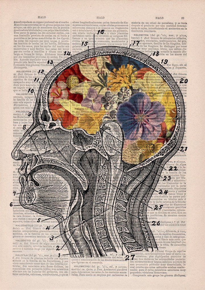 Neuroinflamación: herramientas biológicas para la restauración del cerebro y sistema nervioso