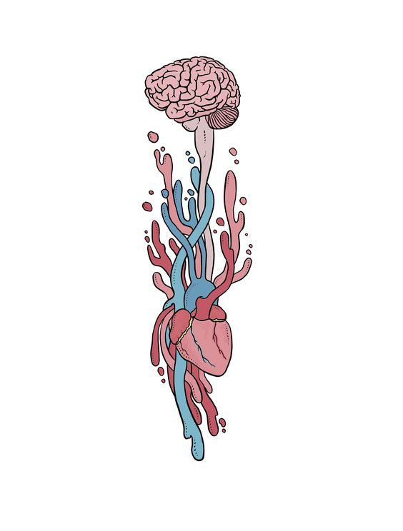 Biología de la Emoción 