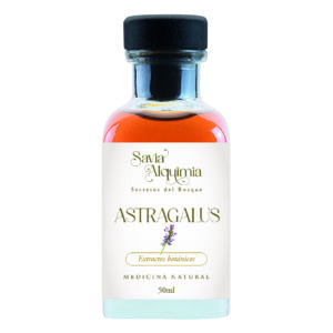 Tintura de Astrágalo - Astragalus membranaceus
