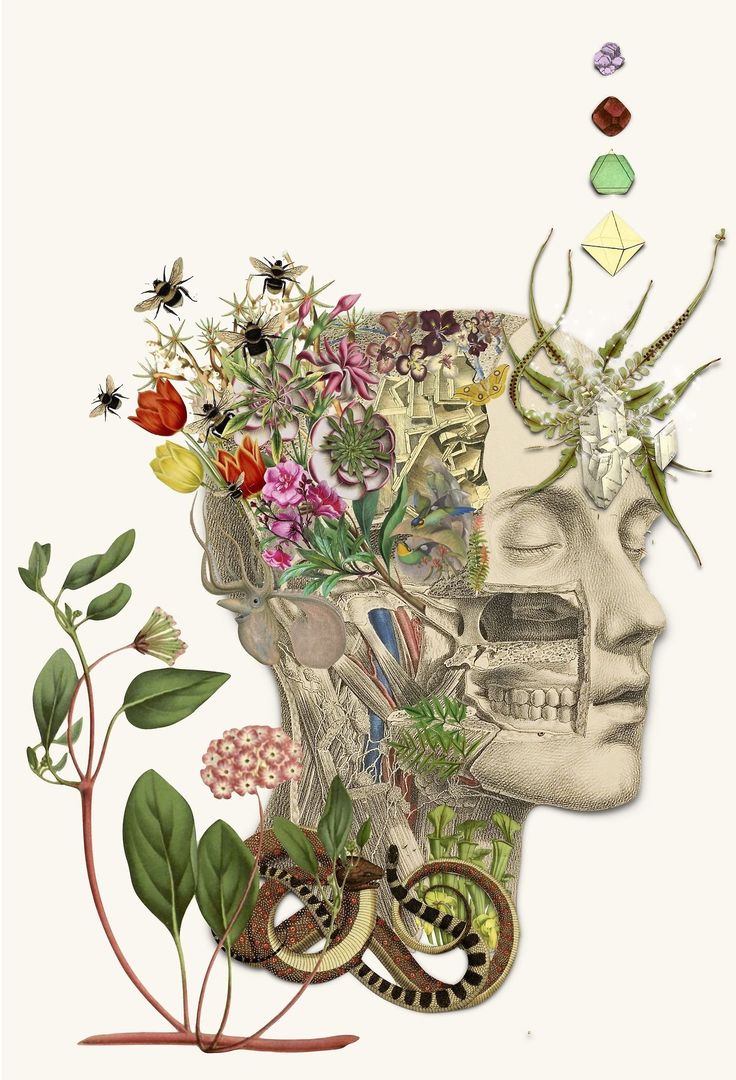 Acompañamiento grupal Regeneración psicointestinal