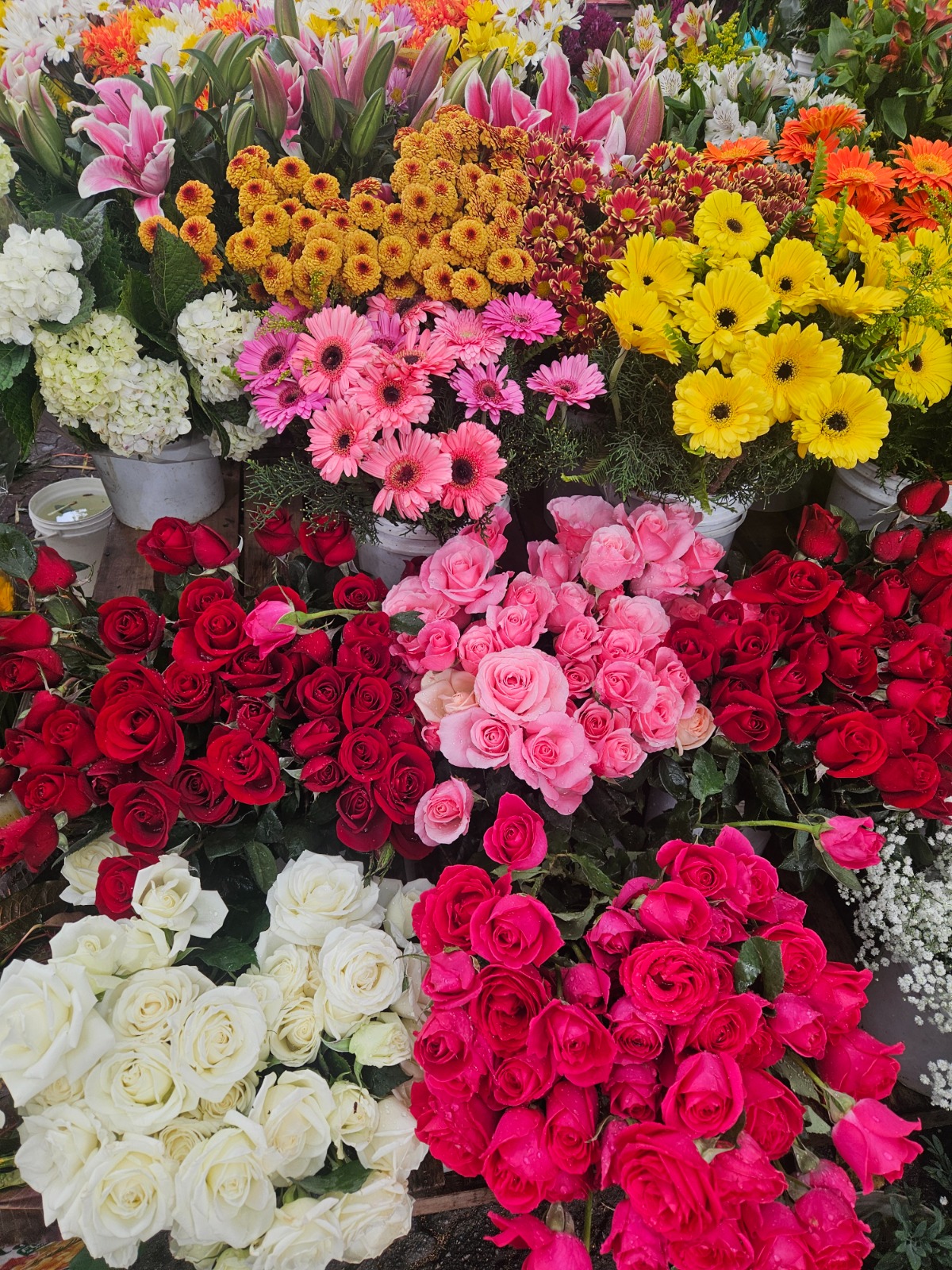 CURSO ONLINE: “LA PIEL CONSCIENTE — Cosmética slow, biológica y ritual del cuerpo vivo”